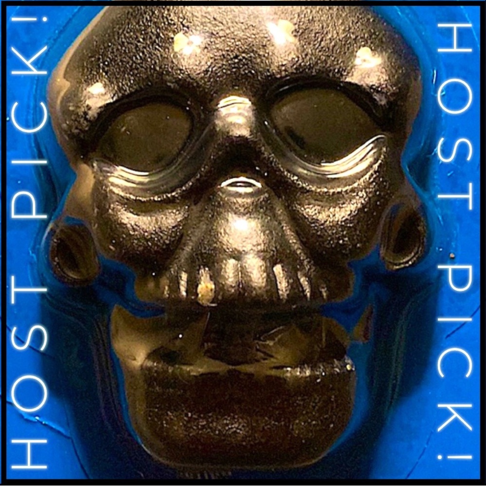 🆕 Skull Bottle Opener 💀
